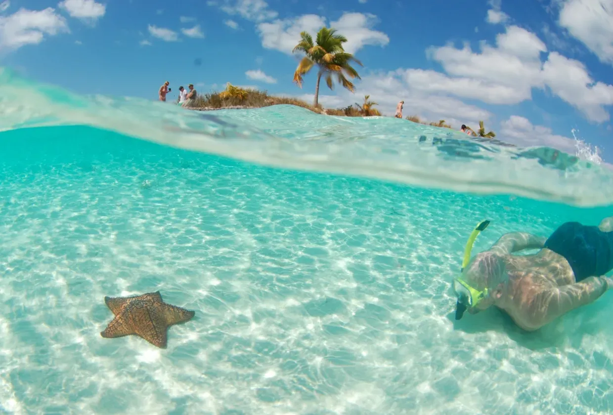 Blackbeard`s Sea Explorer