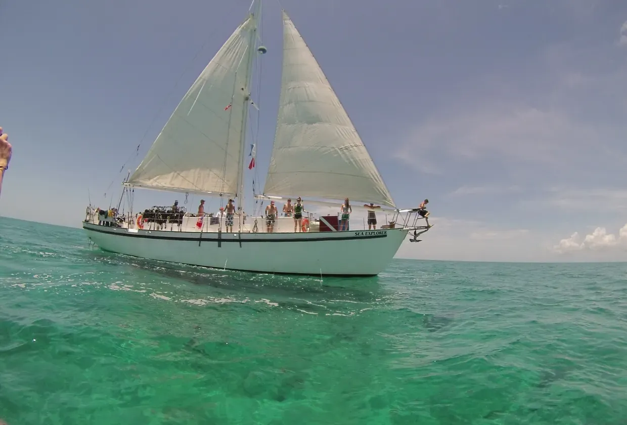 Blackbeard`s Sea Explorer