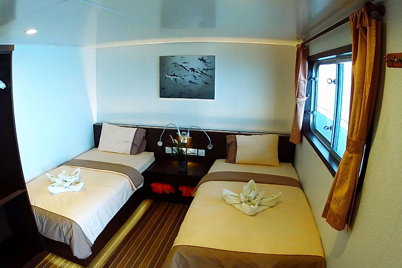 The second main deck twin seen from the door