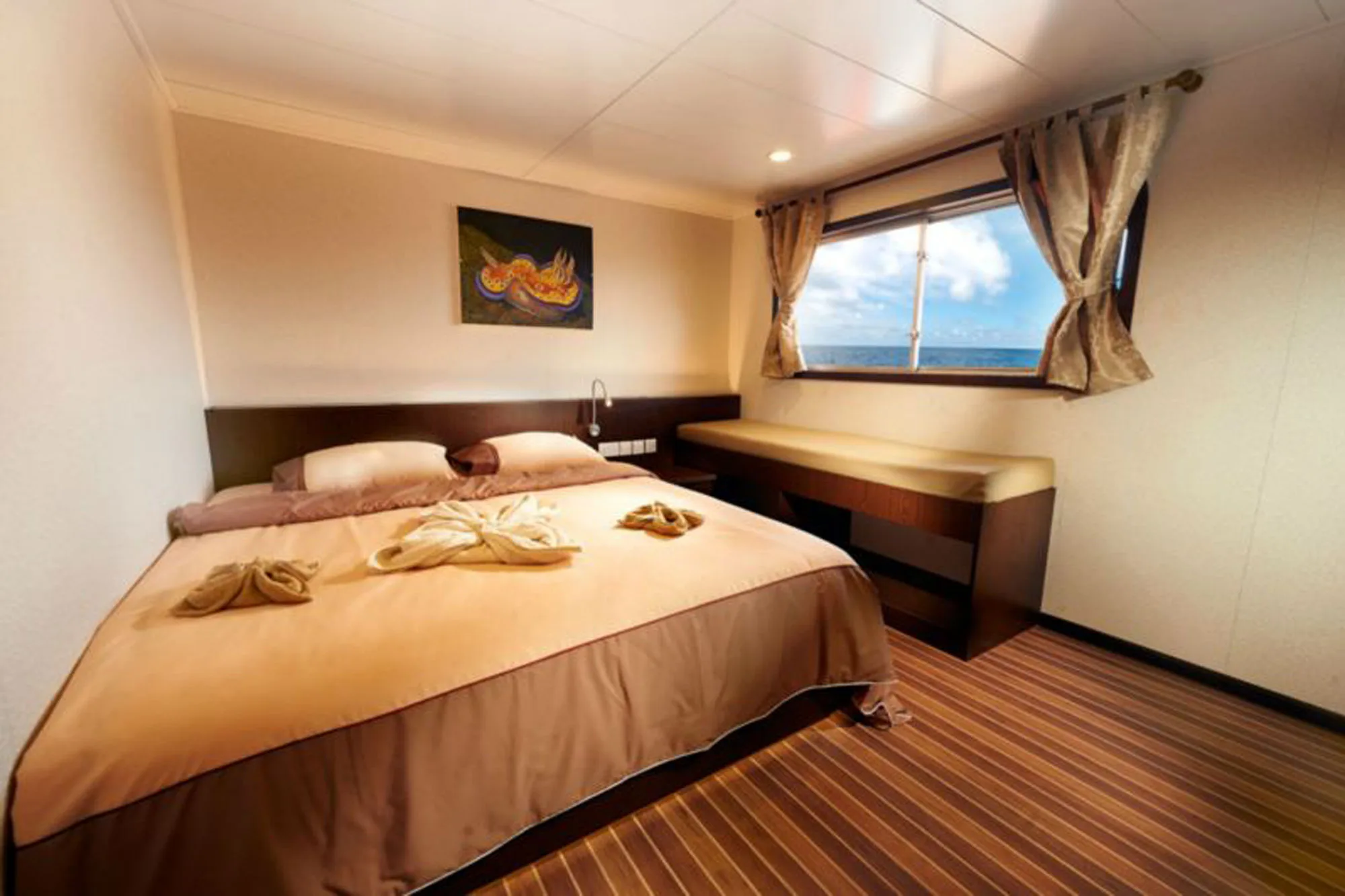 Cabin C2 on the upper deck — double bed, dark headboard and a window on the sea