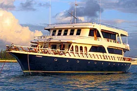 Дайв-сафари на Мальдивах на яхте Blue Shark One