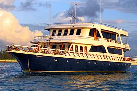 Дайв-сафари на Мальдивах на яхте Blue Shark One