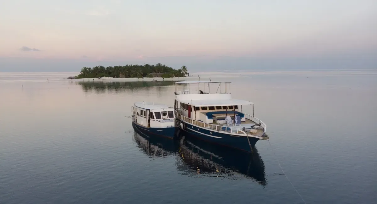 Blue Spirit/Sea Spirit