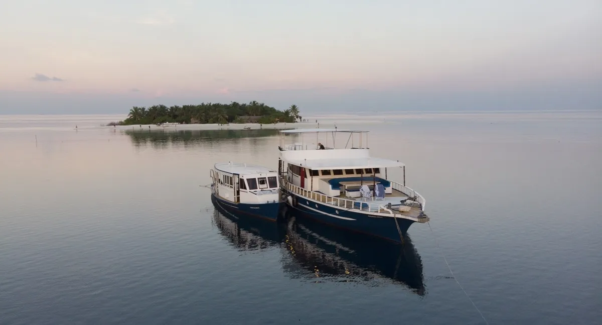 Blue Spirit/Sea Spirit