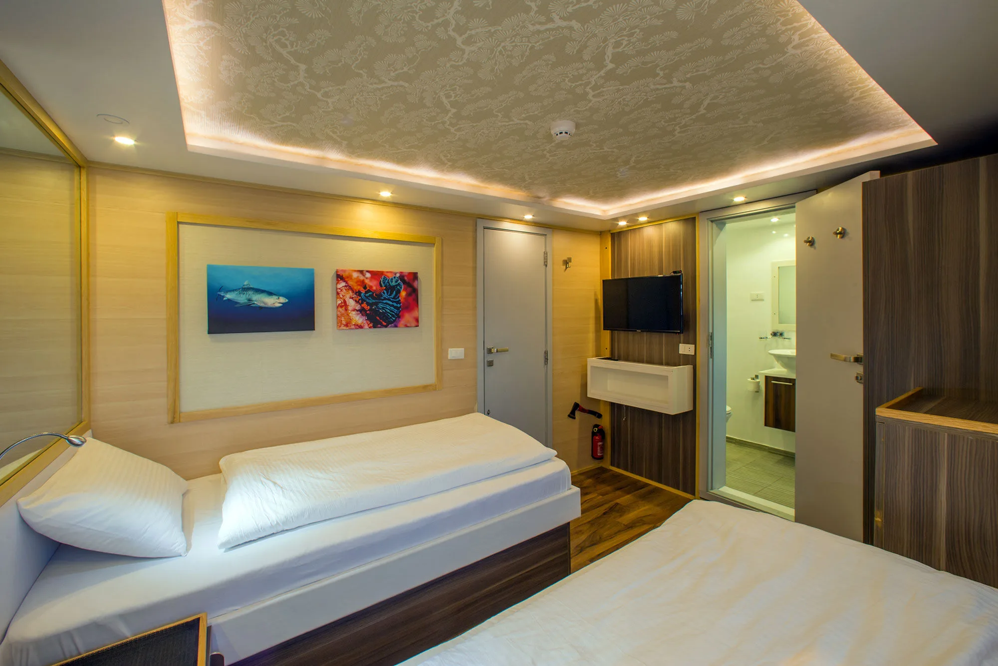 Lower deck twin cabin — entrance and bathroom door