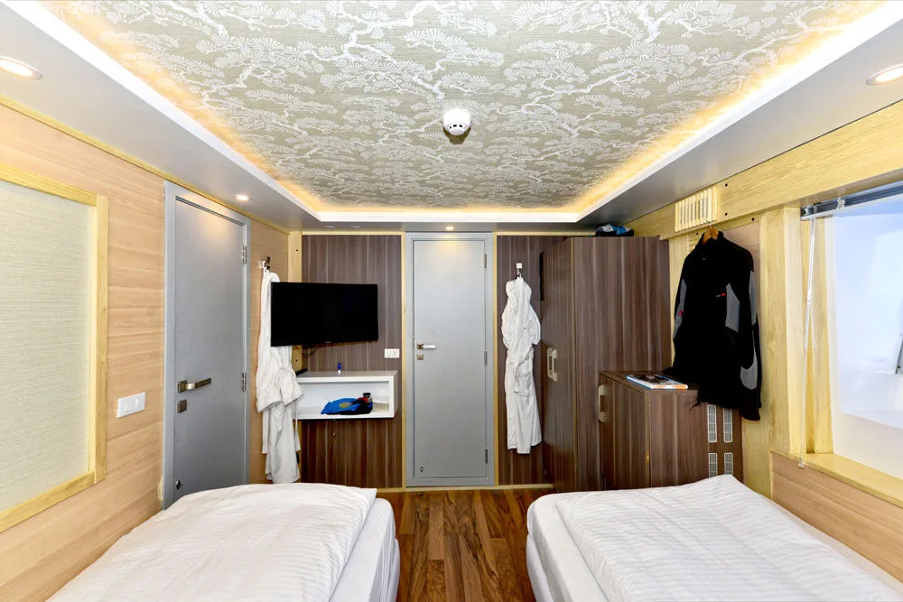 Lower deck cabin — wardrobe, TV and door to the corridor