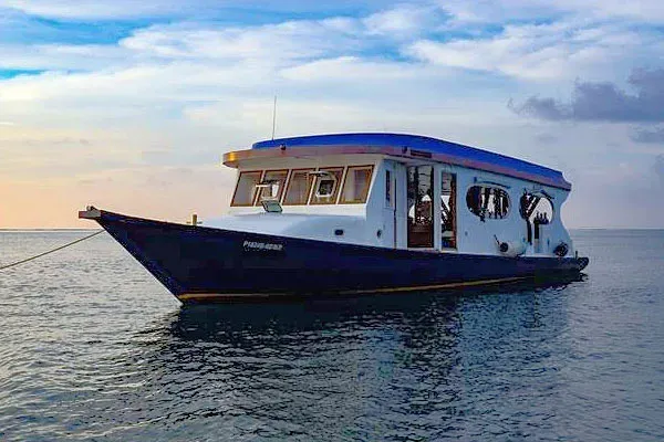 Яхта Blueshark Two, дайвинг-дони