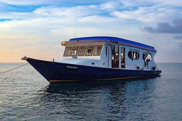 Яхта Blueshark Two, дайвинг-дони