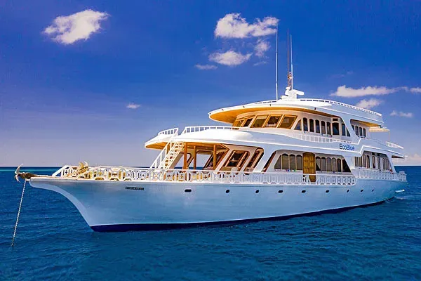 Дайв-сафари на Мальдивах на яхте Blueshark Two