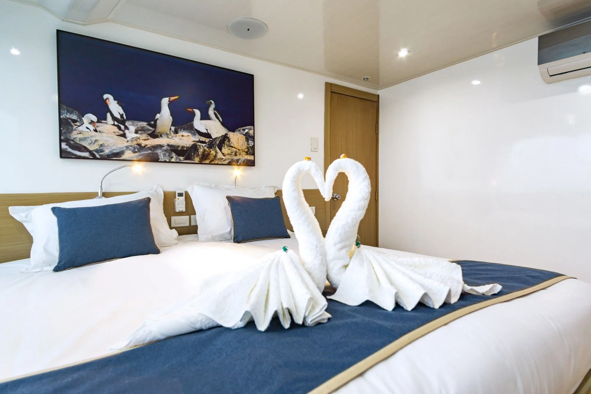 Upper deck cabin on Calipso with a double bed