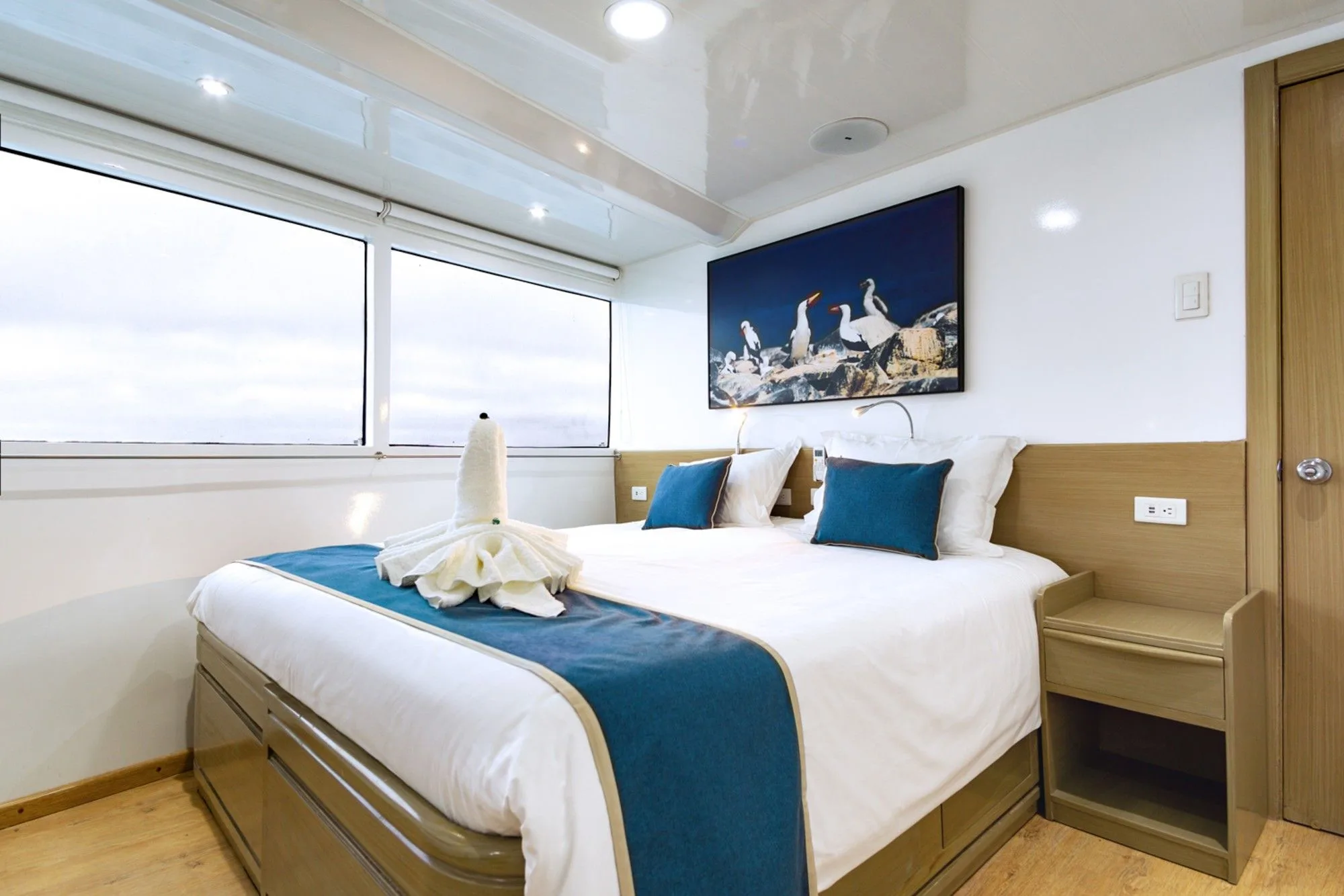 Calipso cabin with a wide ocean window and bedside cabinet