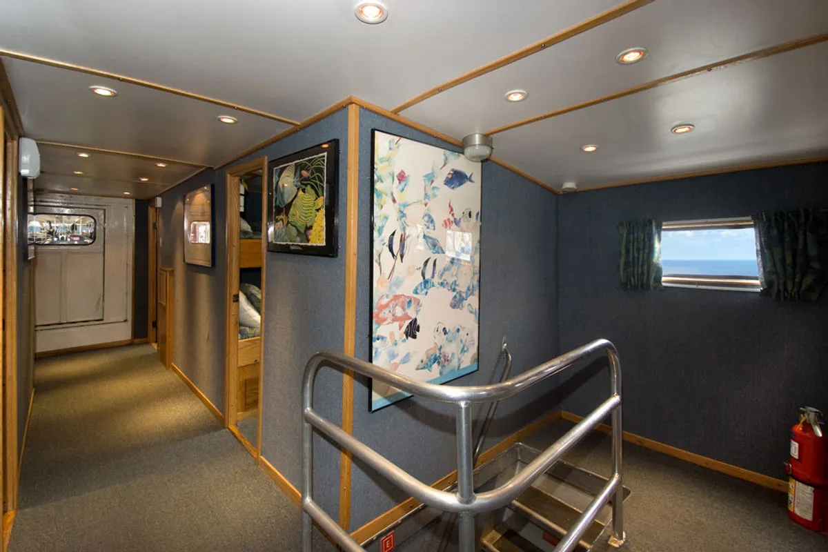 Коридор Caribbean Explorer II с трапом на нижнюю палубу