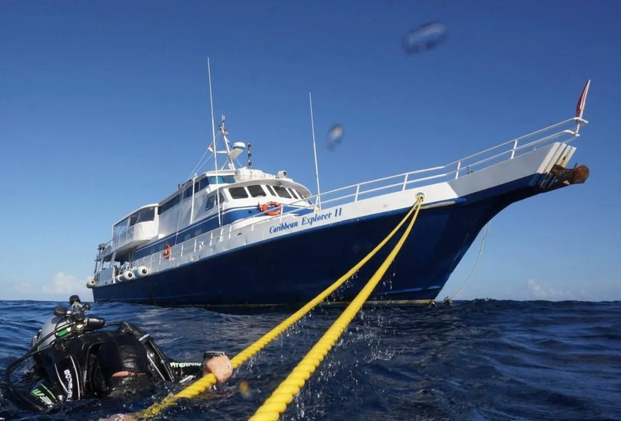 Дайверы у борта Caribbean Explorer II на якорном конце