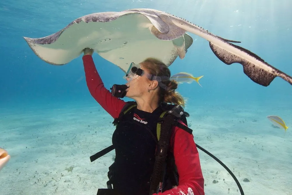 Cayman Aggressor IV — подводный мир