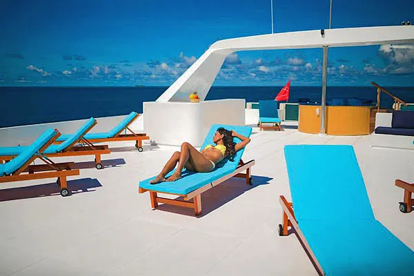 Сан-дек, яхта Duplex Cruiser