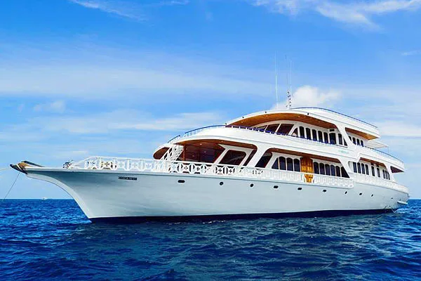 Дайв-сафари на Мальдивах на яхте Eco Blue