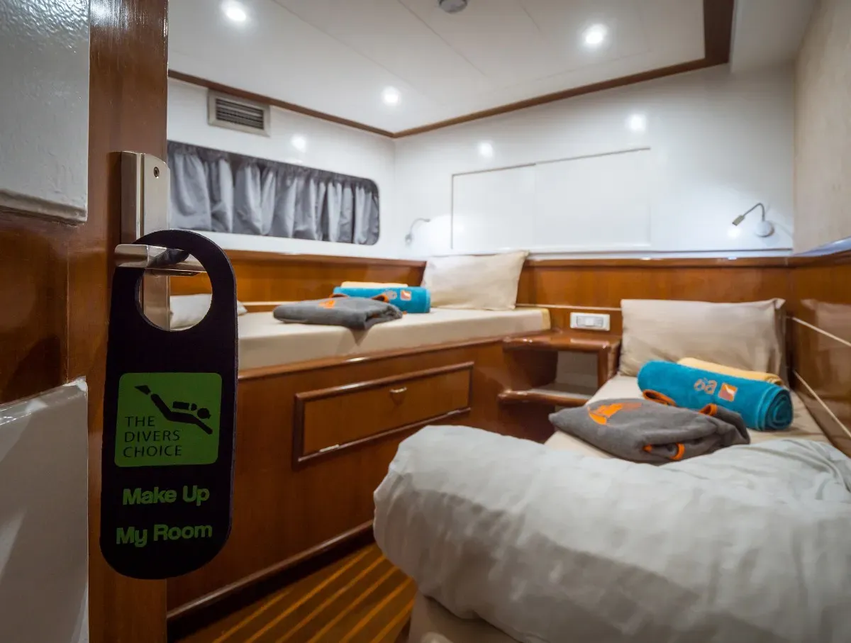 Lower Deck Twin — фото каюты