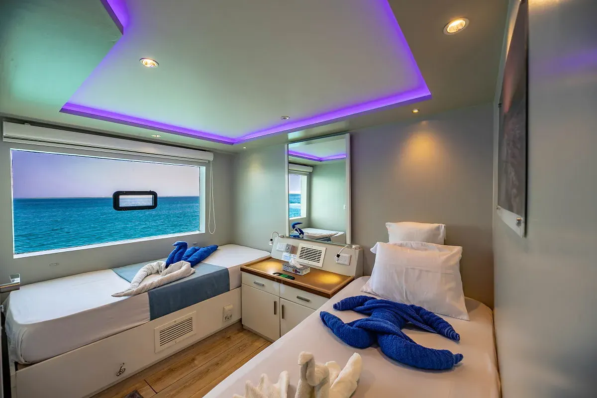 Emperor Echo — фото 10, дайвинг Египет