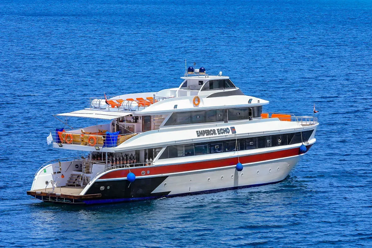 Emperor Echo — фото 3, дайвинг Египет