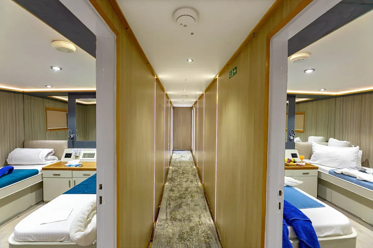 Emperor Echo — фото 6, дайвинг Египет