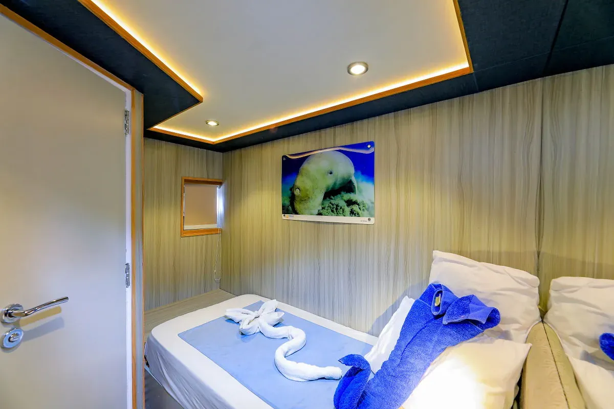 Emperor Echo — фото 9, дайвинг Египет