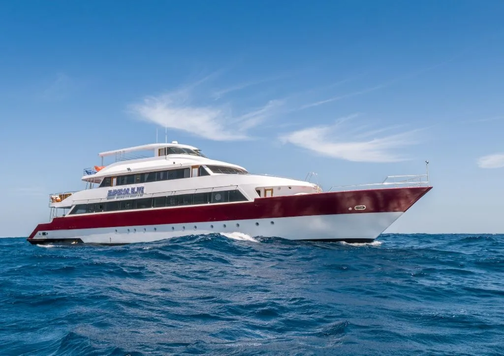 Emperor Elite — лайвборд для дайвинг-сафари на Египет