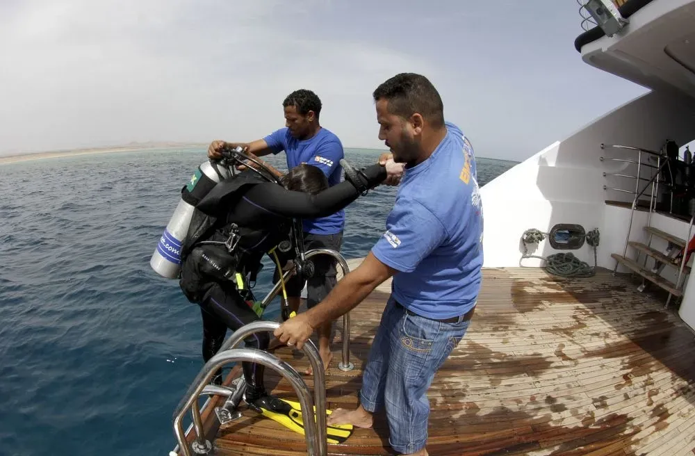 Emperor Elite — фото 10, дайвинг Египет