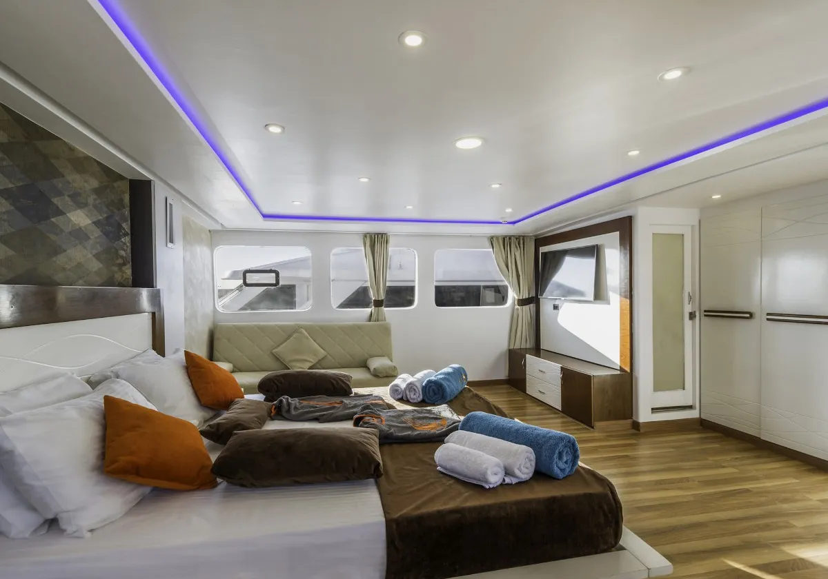 Emperor Elite — фото 14, дайвинг Египет