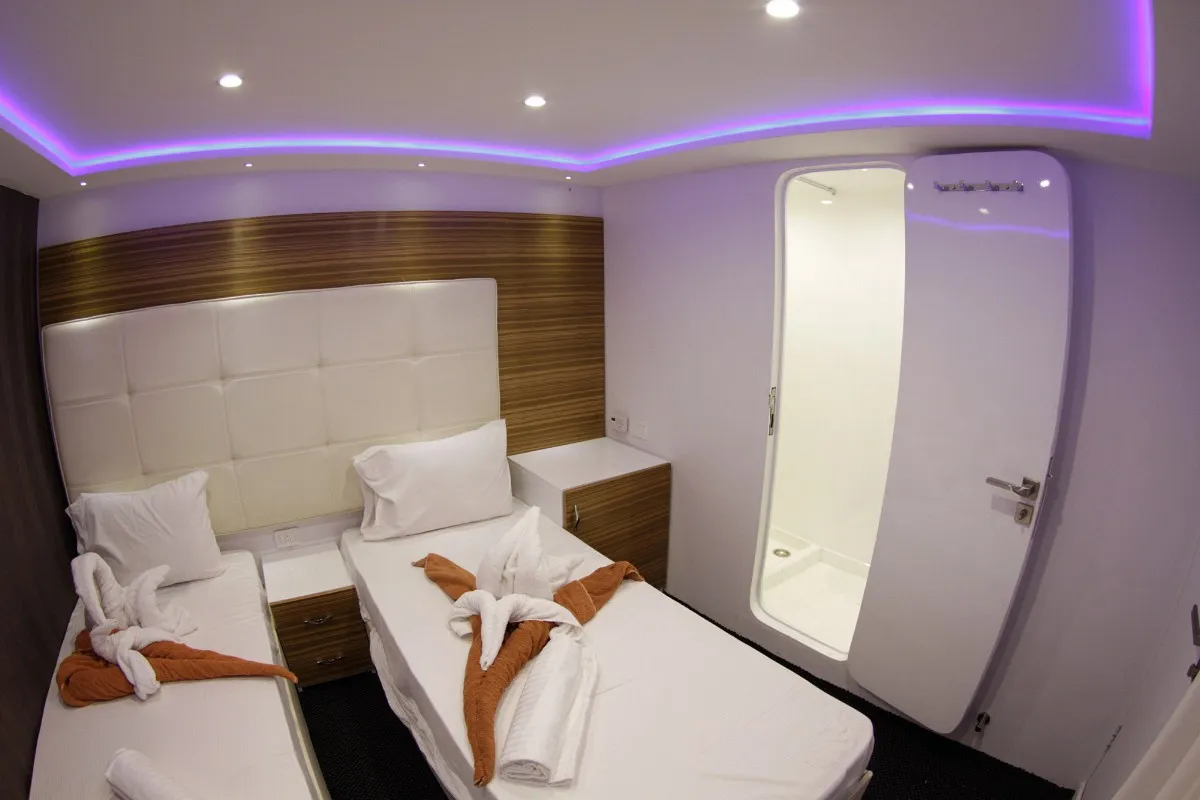 Emperor Elite — фото 24, дайвинг Египет