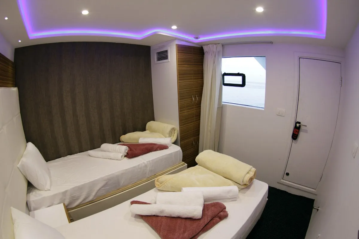 Emperor Elite — фото 25, дайвинг Египет