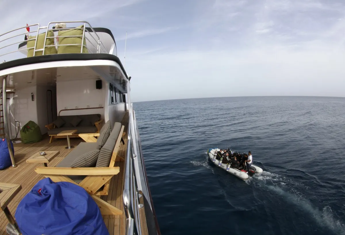 Emperor Elite — фото 27, дайвинг Египет