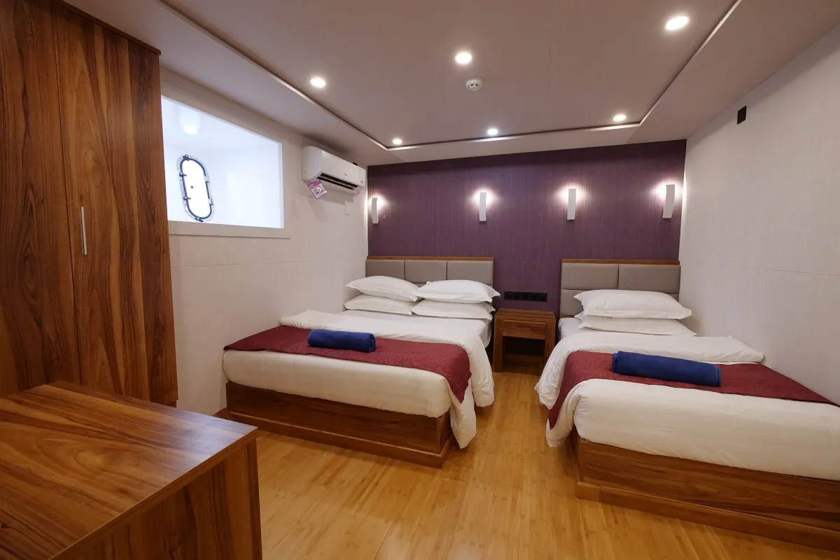 Lower Deck Twin — фото каюты