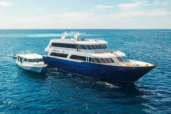 Emperor Leo — фото 15, дайвинг Мальдивы