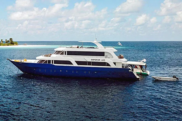 Emperor Leo — фото 16, дайвинг Мальдивы