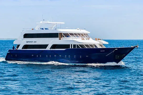 Emperor Leo — фото 2, дайвинг Мальдивы