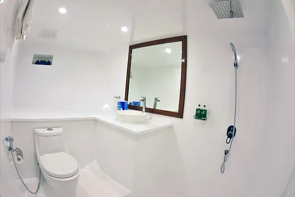 Emperor Leo — фото 7, дайвинг Мальдивы