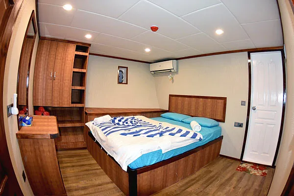 Emperor Leo — фото 8, дайвинг Мальдивы