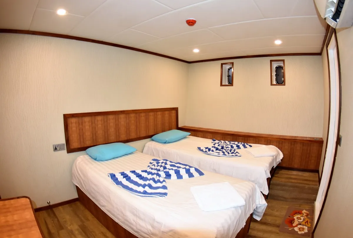 Lower Deck Twin — фото каюты