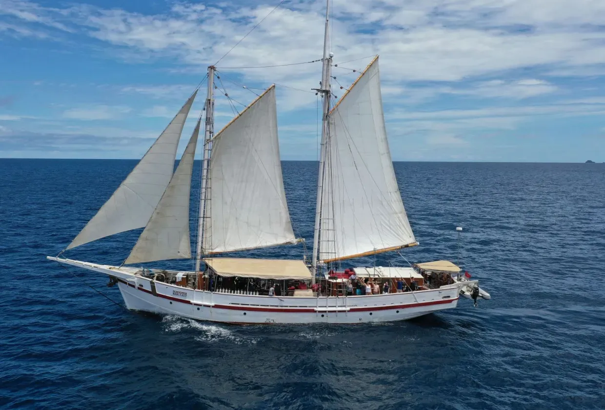 Emperor Raja Laut — лайвборд для дайвинг-сафари на Индонезия