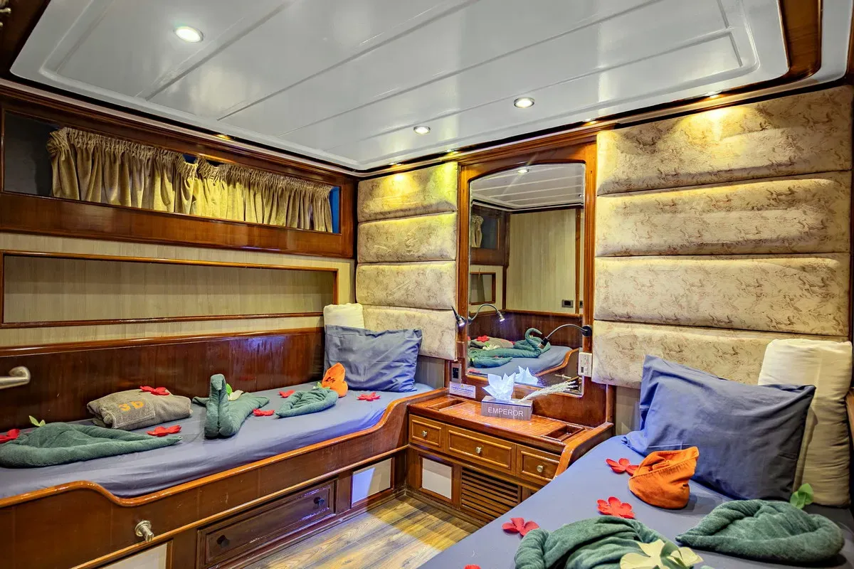 Lower Deck Twin — фото каюты