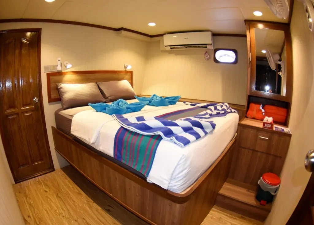 Emperor Voyager — фото 7, дайвинг Мальдивы