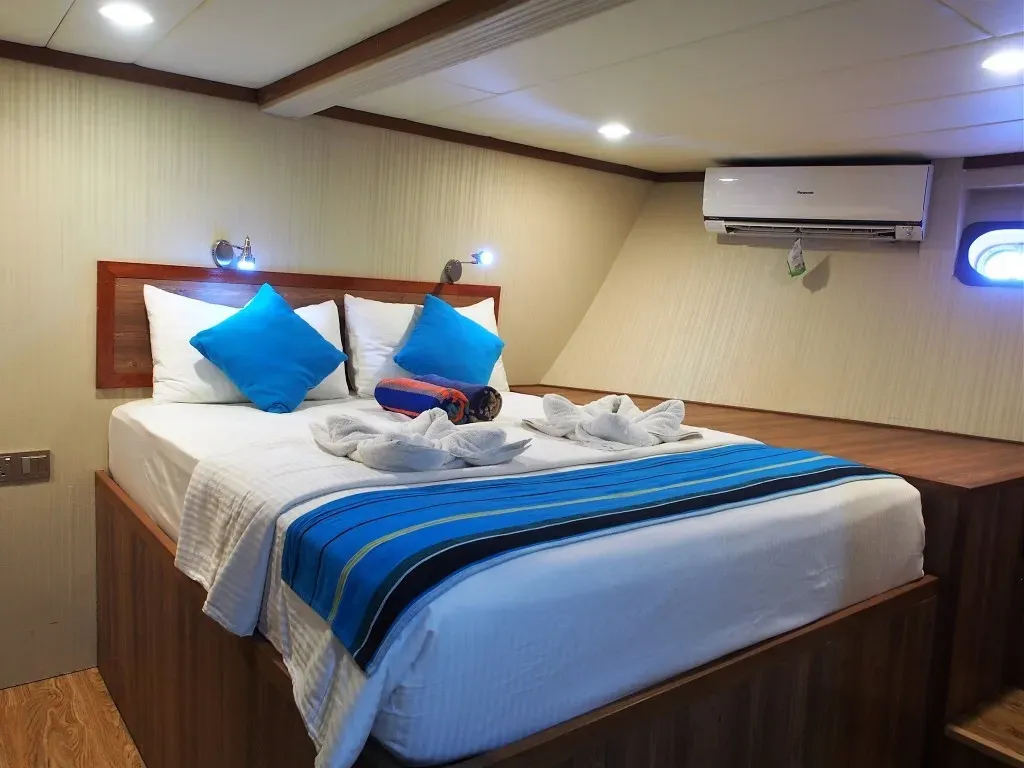 Emperor Voyager — фото 9, дайвинг Мальдивы