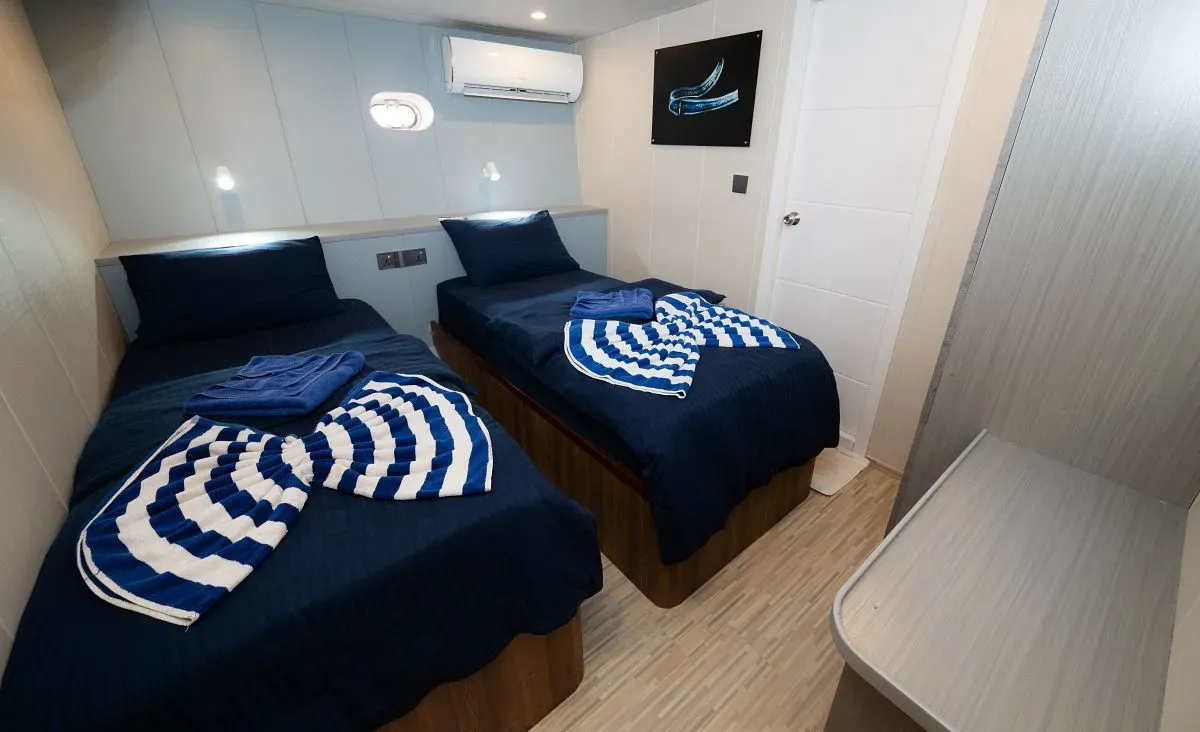 Lower Deck Twin — фото каюты