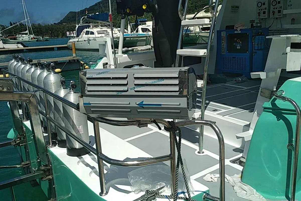 Explorer 1 — фото 9, дайвинг Сейшелы