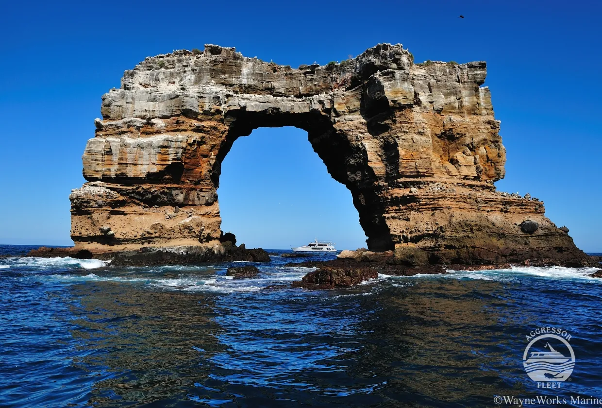 Close view of Darwin's Arch