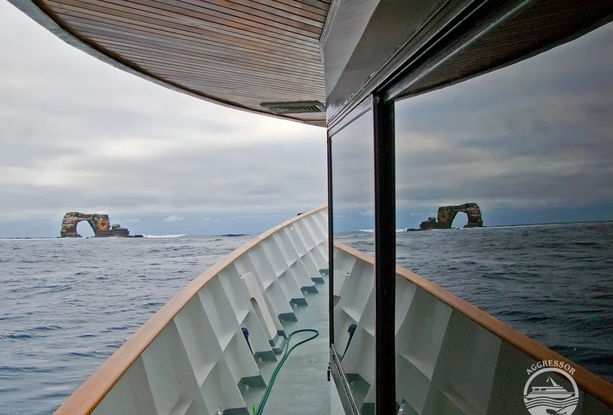 View from the bow of Galapagos Aggressor III towards the Darwin rocks