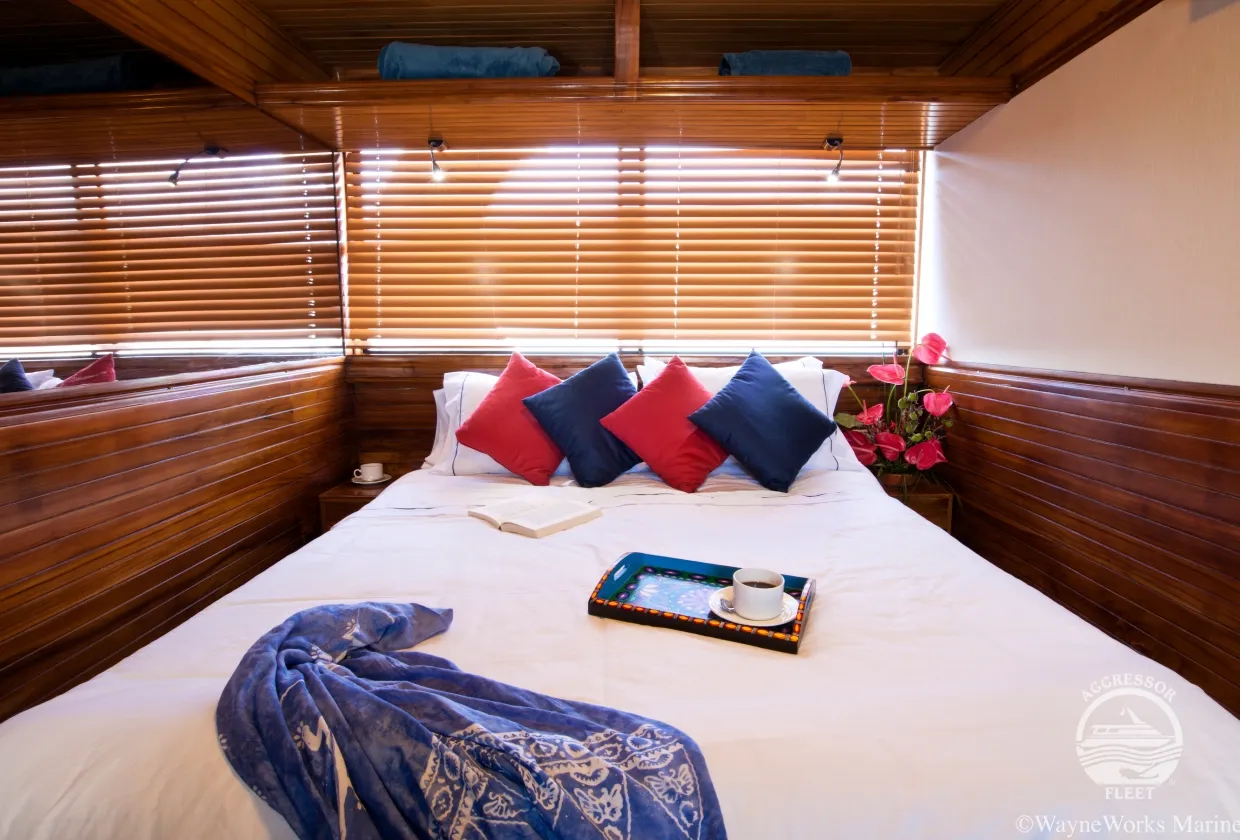 Master Stateroom on the upper deck — double bed