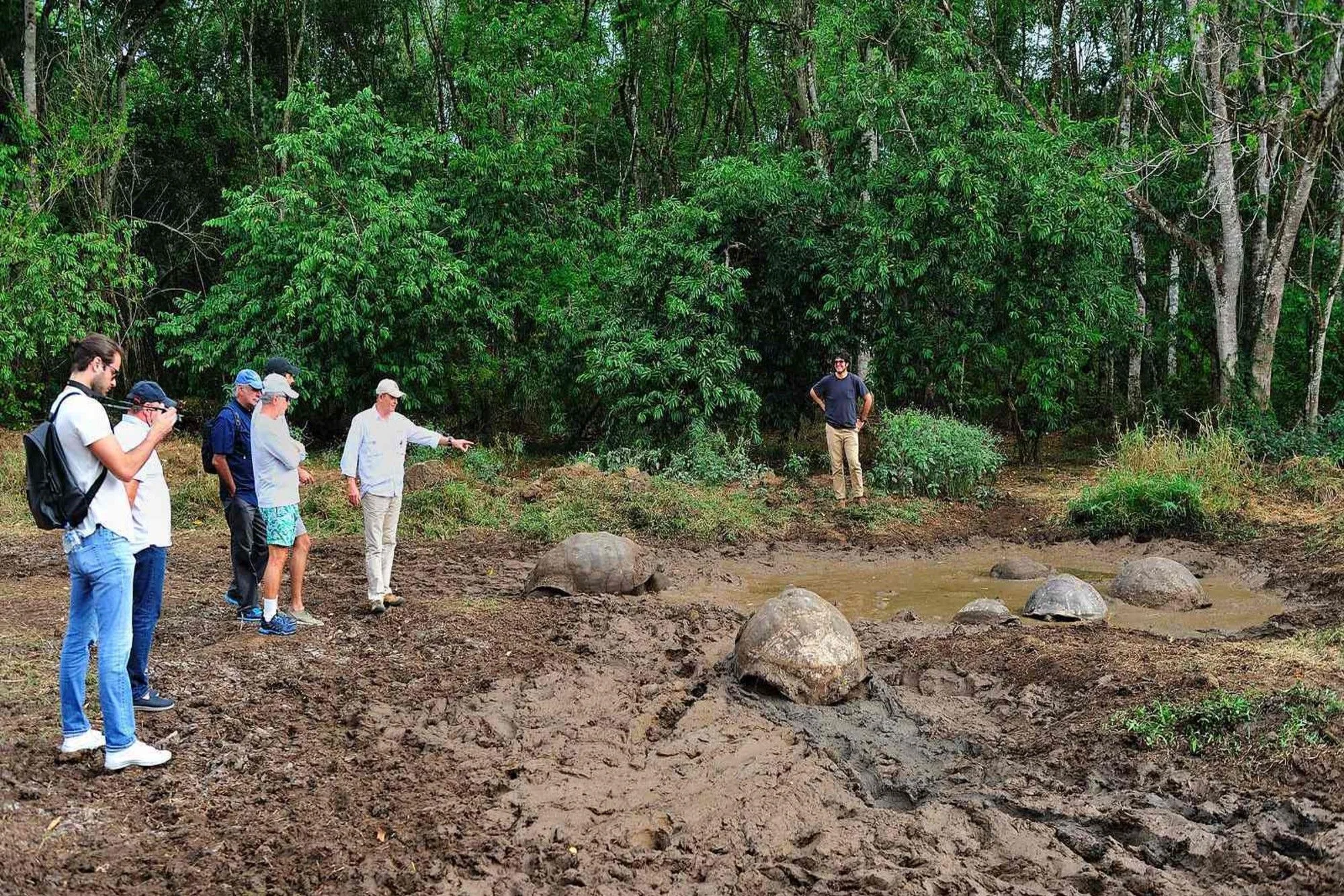 Guests visiting giant tortoises on a land excursion