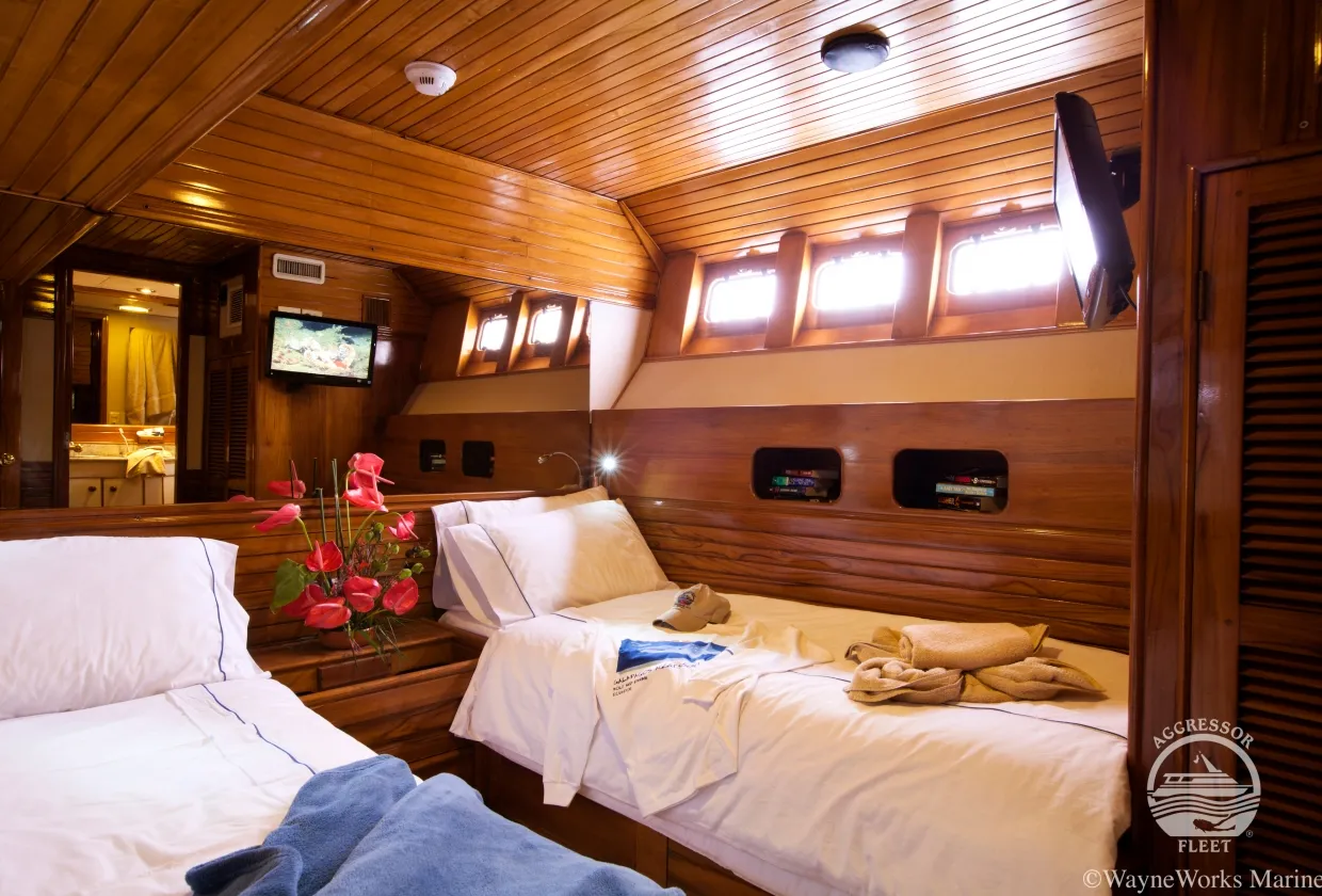 Deluxe Stateroom on the lower deck — twin beds