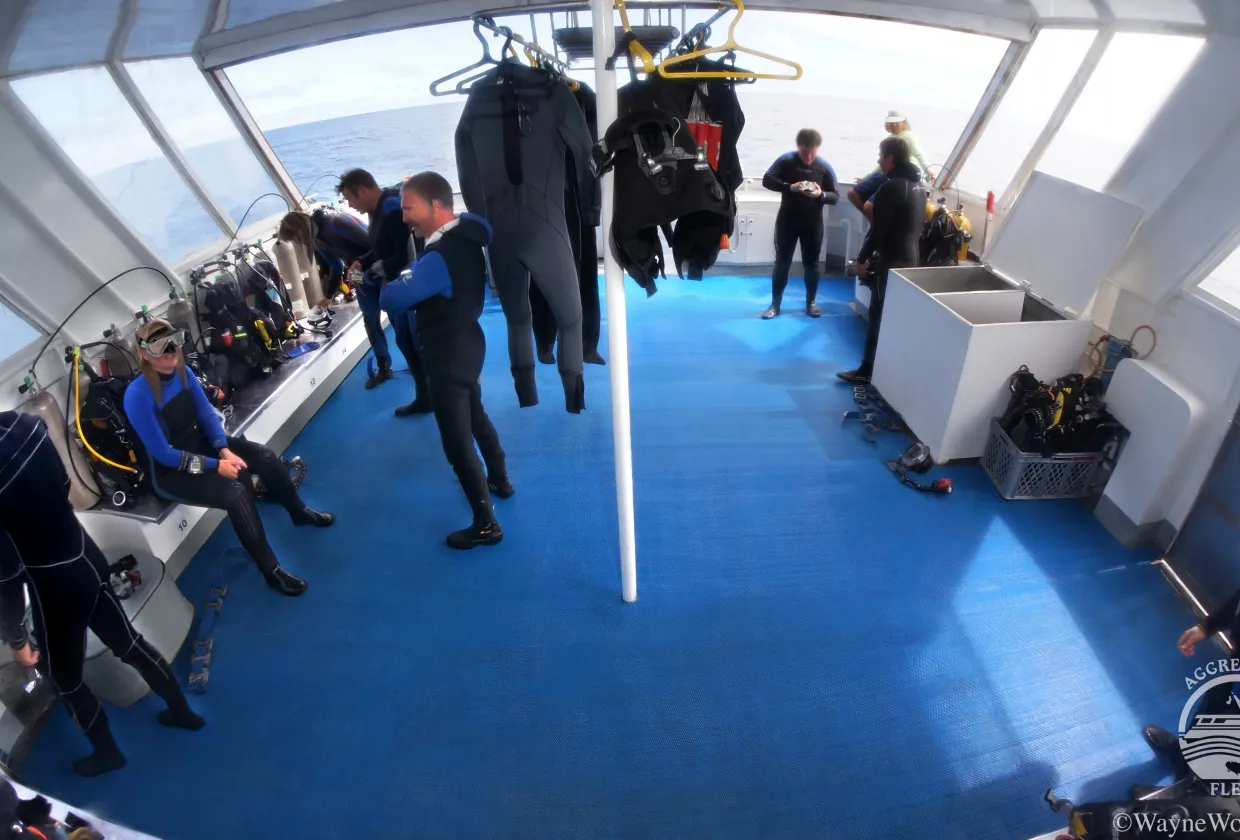 Divers gearing up on the dive deck before a dive